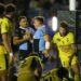 Cardiff Zebre