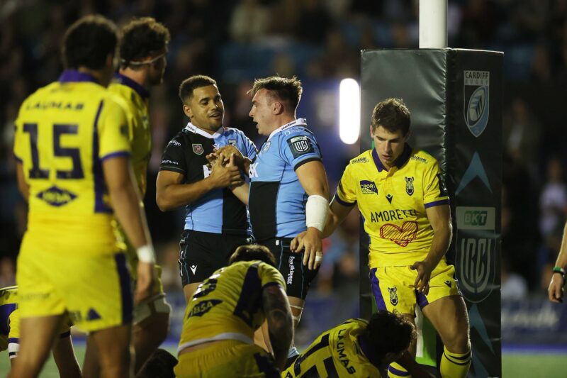 cardiff zebre